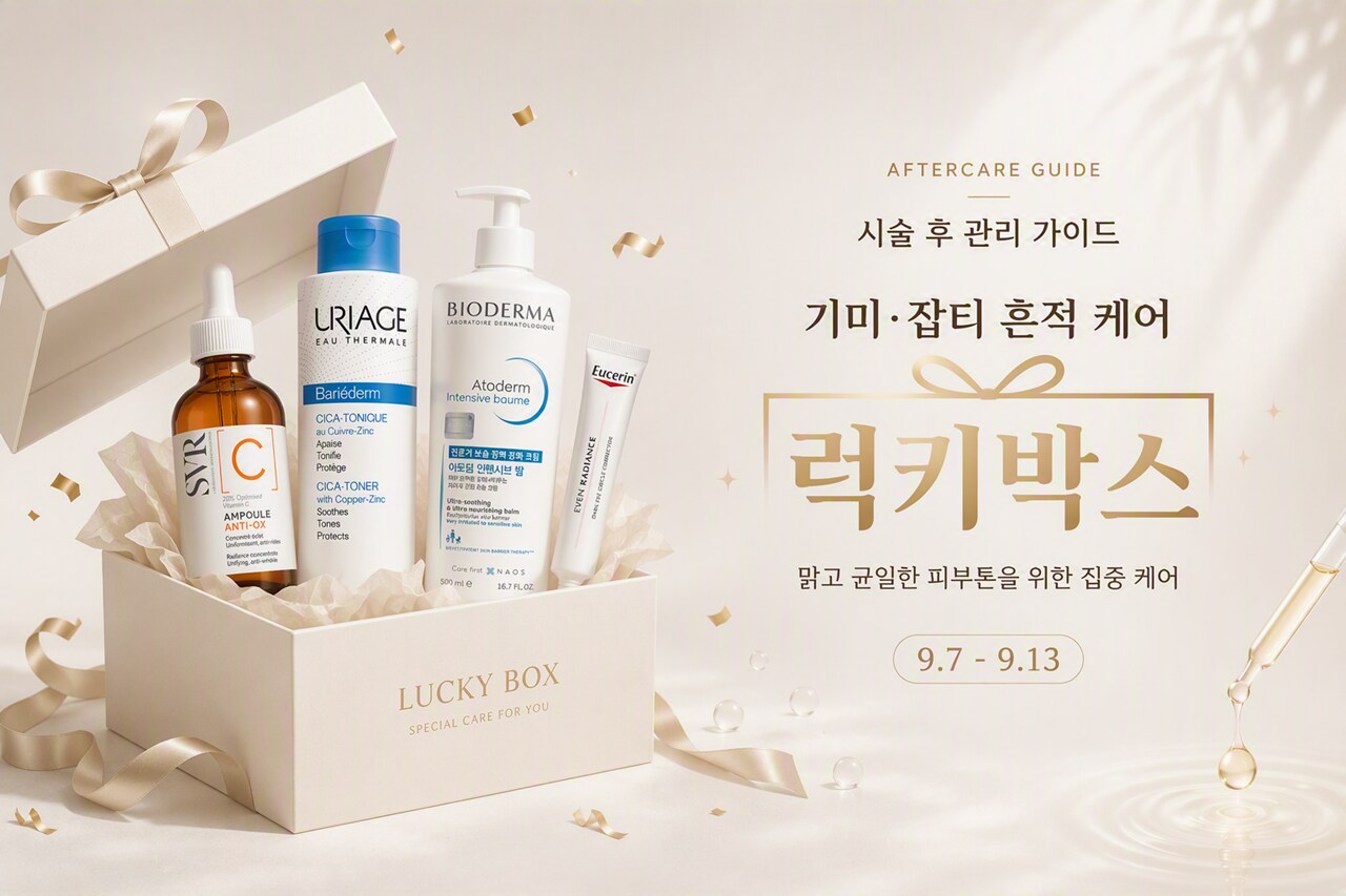 상단영역 이미지