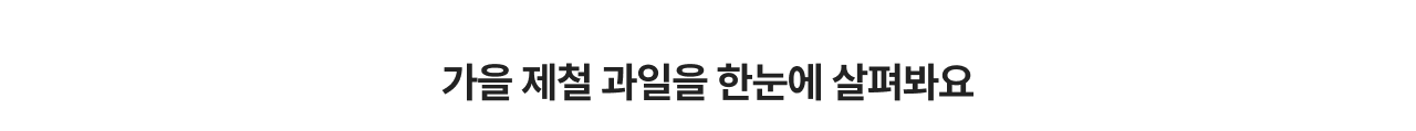 가을 제철 과일을 한눈에 살펴보아요