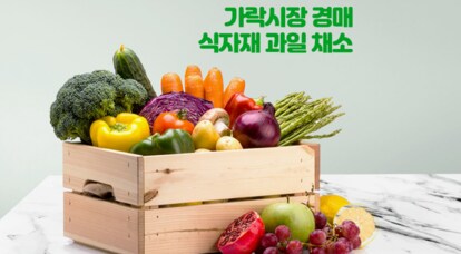 [맛다름] 가락시장 경매 식자재 과일 야채
