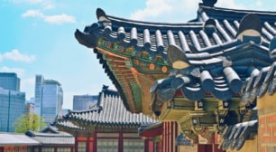 국내/제주 숙박/입장권 다양한 여행패키지를 만나보세요!