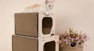 고양이 캣타워의 모든것! 브랜드별 모음 캣챠-!