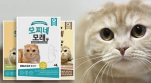 모찌네 모래 ~20% 고양이 모래/간식 한눈에보기!