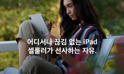 iPad 셀룰러 최대 할인 혜택  