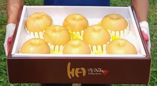 산지직송 실속과일선물세트 신선한 사과 배 선물세트