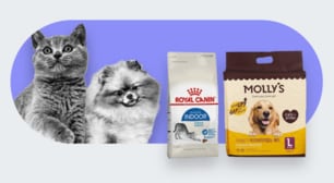 ROYAL CANININDOORMOLLY'SLove you, Love pet 반려동물 펫스티벌