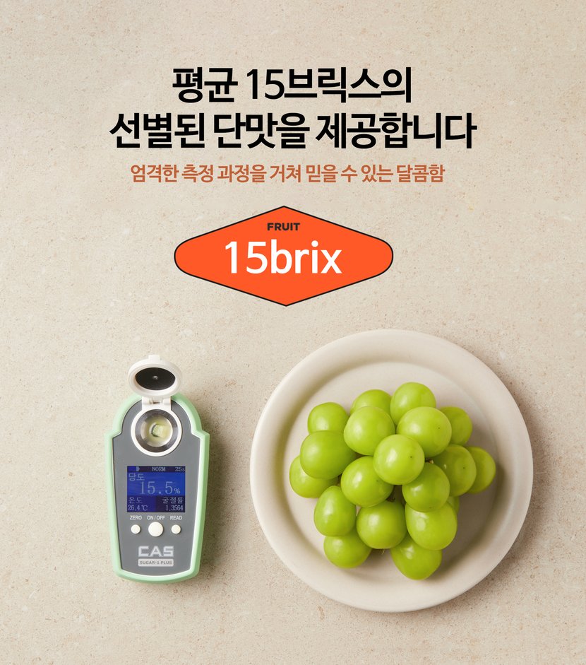 평균 15브릭스의 선별된 단맛을 제공합니다