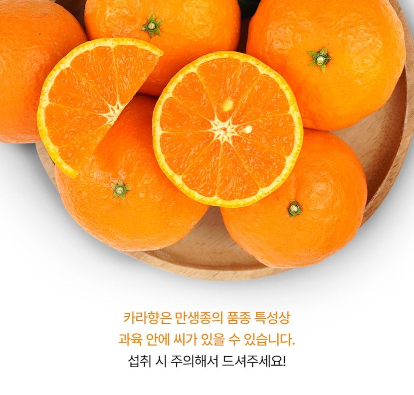 상세이미지4