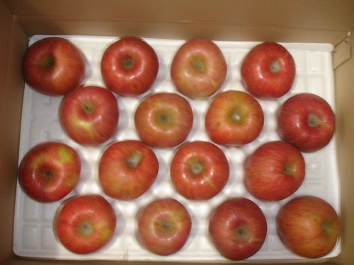 [과일연가] 부사 사과(특품)5kg(17~20개입)