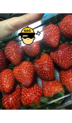 [국내산] 거창딸기 500g