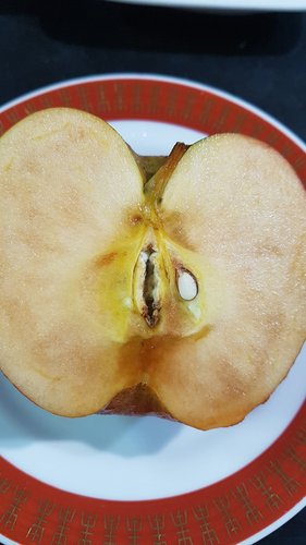 가정용 알뜰흠집 사과 5kg(크기랜덤) (국내산)