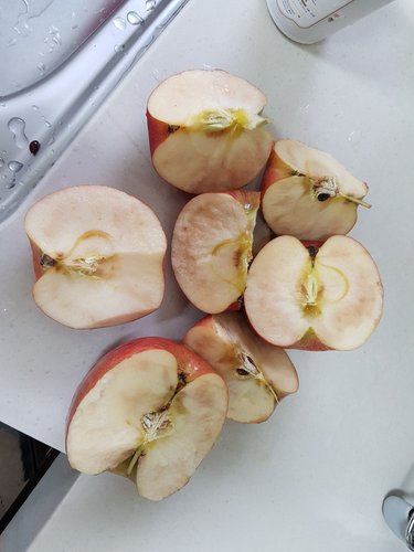 가정용 알뜰흠집 사과 5kg(크기랜덤) (국내산)