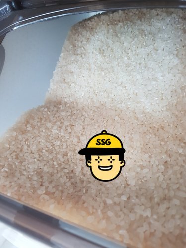 [농협양곡] 2019년산 대왕님표 여주쌀(추청) 10kg (특등급)