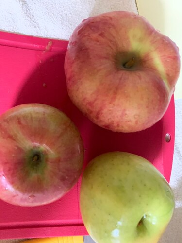 맛있는 햇 홍로 사과 1.5kg / 봉