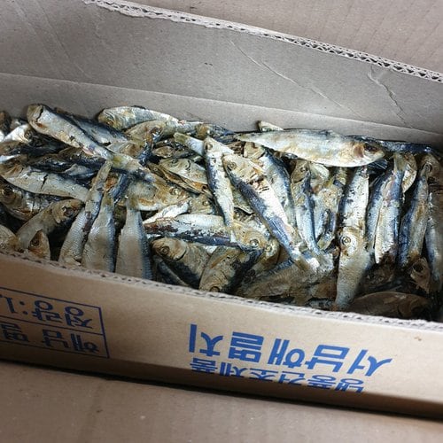 해누리푸드 국내산 디포리 1.5kg 1박스 / 국물용