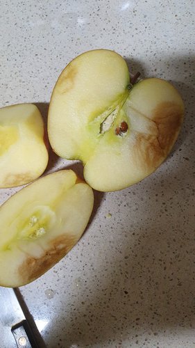 [얼음골] 단내 가득한 꿀사과 10kg(40~46과)