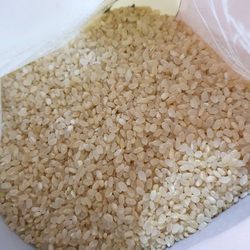 [4일이내 도정] 싱싱맛쌀 7분도 영양쌀 2kg 