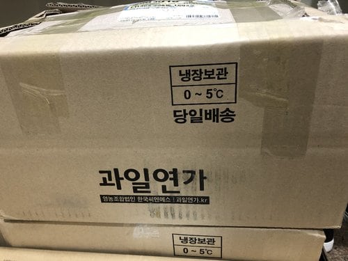 [과일선물세트] 한라봉 선물세트 3kg(9~10개) 부직포 가방