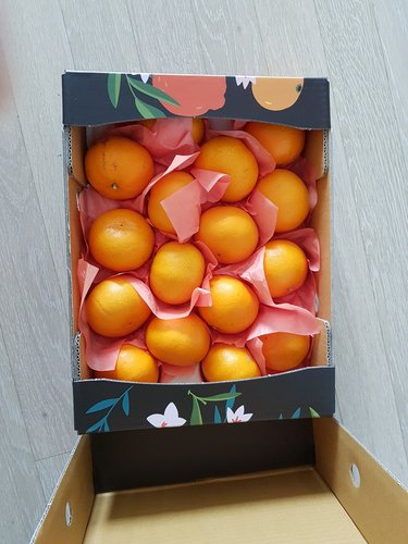 [감동]제주 천혜향 2.6kg 10-14과  과일선물세트