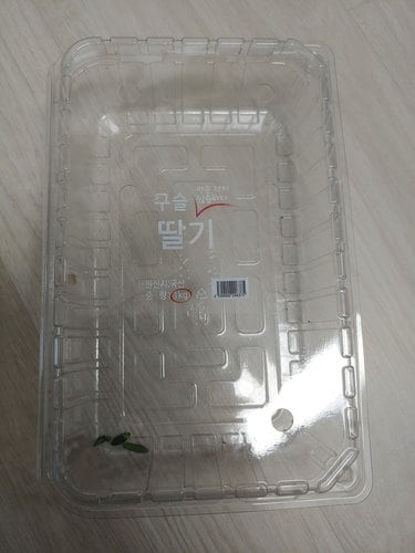 [국내산] 거창딸기 500g