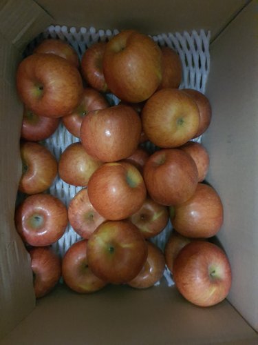 [자연맛남] 가정용 사과(흠집과) 8kg(중과/30과내외)
