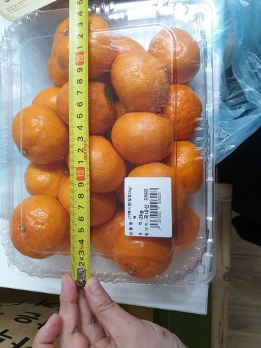 [가락시장] 밀감 2kg(팩)