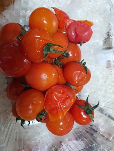 [가락시장 경매 식자재 과일]방울토마토 1kg내외(1~3번)