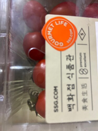 [프리미엄] 대추방울 토마토 750g(팩)