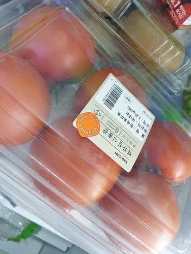 [프리미엄] 완숙 토마토 1.2kg(팩)