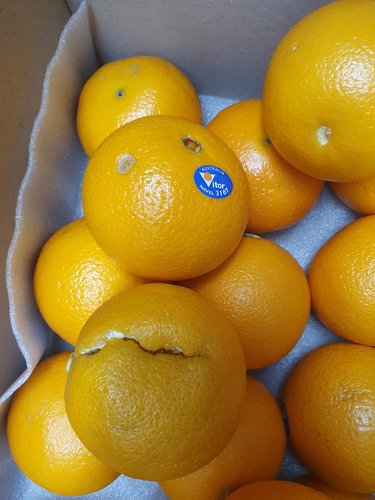 호주산 네이블 오렌지 3kg /박스