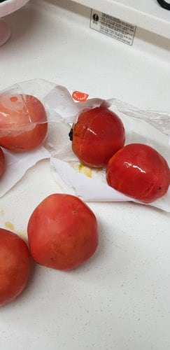 무농약 친환경 토마토 1kg/봉