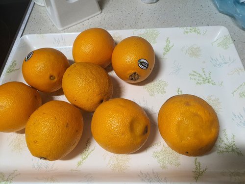 남아공산 카라카라 오렌지 8입(2kg) (봉)