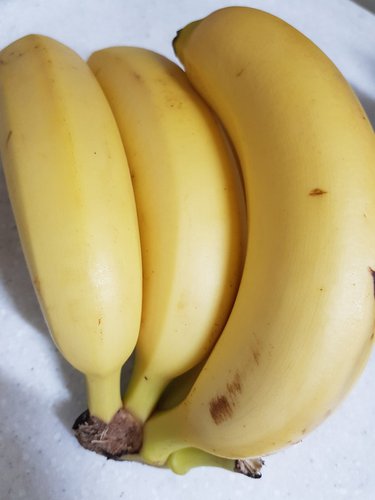 콜롬비아 바나밸리 바나나 1봉/1.1kg 내외
