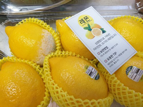 과즙뚝뚝 빈틈없는 칠레산 점보 레몬 6입 (팩)