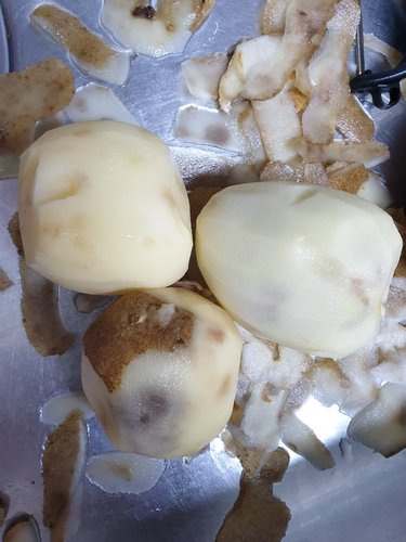 [산들따옴] 포슬포슬 감자 (대) 1kg