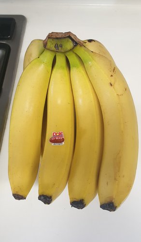바나나의 명품, 스위티오 바나나 1.5kg (봉)