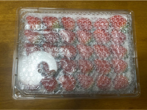 산청 설향 딸기 800g 대