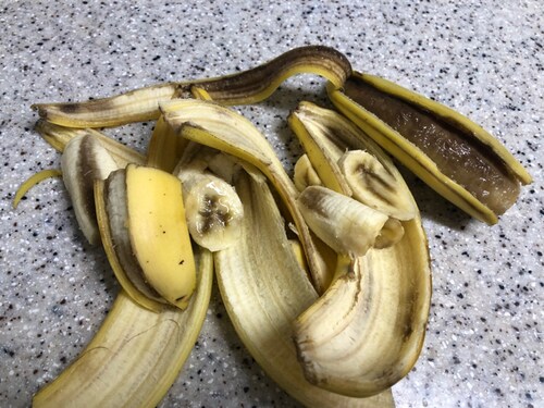 Dole 스위티오 바나나 3.9kg (1.3kg 3송이)