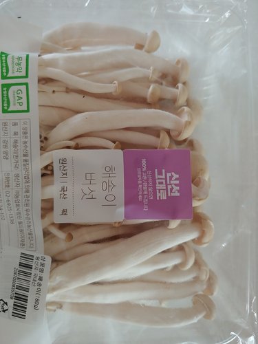 [미운영]해송이버섯 180g내외(팩)
