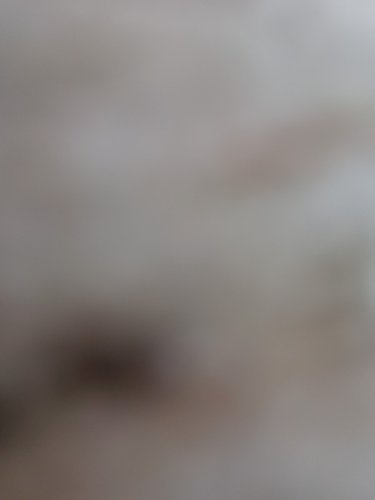 [노커트 케어 홀리데이 기프트 세트] 케라스타즈 샴푸 + 마스크 구매 시 텍스춰라이저 본품 증정