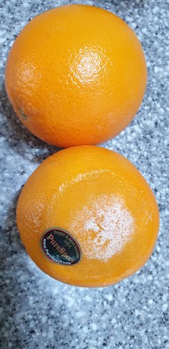 [가락시장] 미국산 고당도 오렌지 10입 1.9kg (봉)