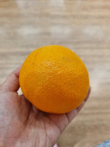 복불복없이 맛있는 미국산 고당도 퓨어스펙 오렌지 6입 1.8kg (팩)
