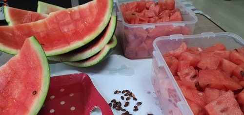 [당도선별] 흑미수박10kg미만