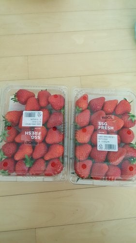 새벽에 수확한 딸기 900g (팩)
