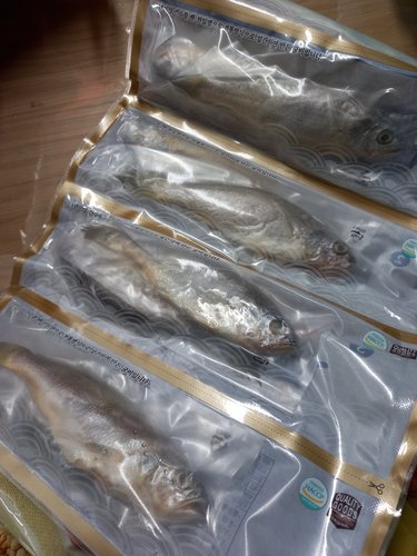 [냉동][국산]영광 법성포 참굴비 3호 (10미, 750g)