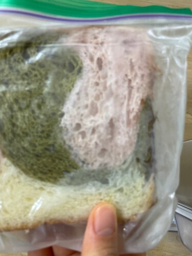 [교토마블]삼색 데니쉬 식빵