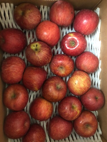 [경상북도]맛있는 사과 8kg(45과내) 가정용흠과