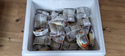 냉동 소프트케익 30봉 택 (치즈/고구마/모카)