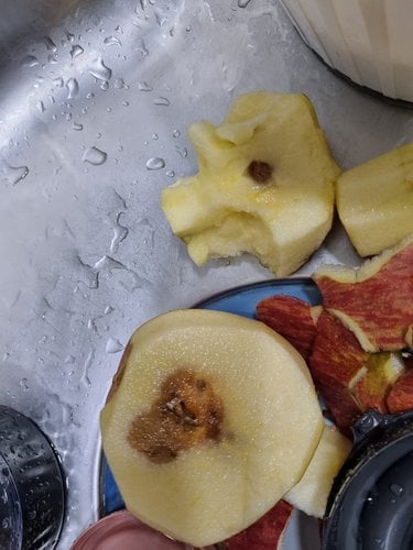 [경상북도]맛있는 사과 8kg(45과내) 가정용흠과
