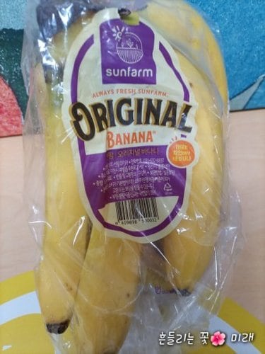 콜롬비아 썬팜 오리지널 바나나 1.2kg (봉)