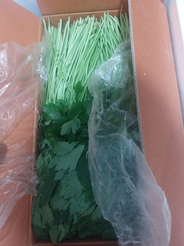 [가락시장 경매 식자재 채소]참나물 4kg/box